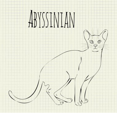 Habeş çizim vektör