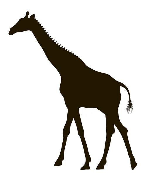 Sílhueta de desenho vetorial de uma girafa em movimento —  Vetores de Stock