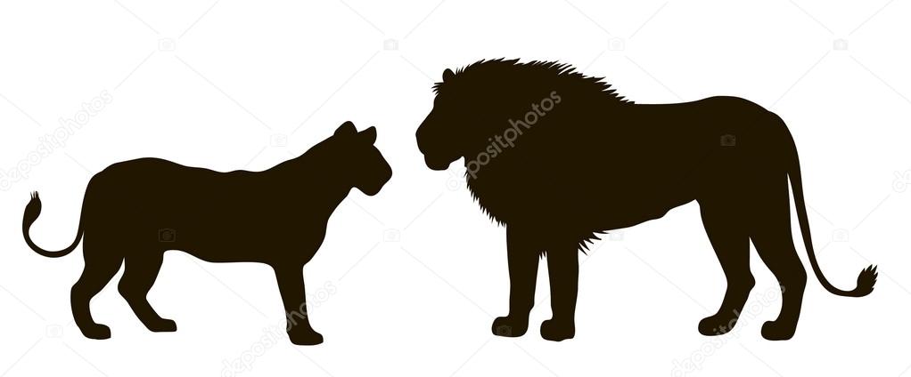 Vector silhouette of a pair of lions