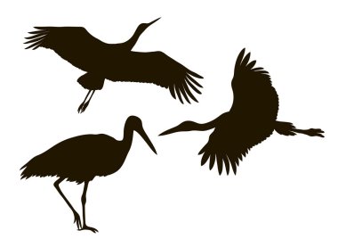 drawing silhouettes of three storks clipart