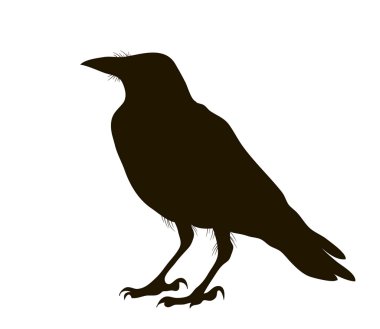 oturan bir karga illüstrasyon siluet