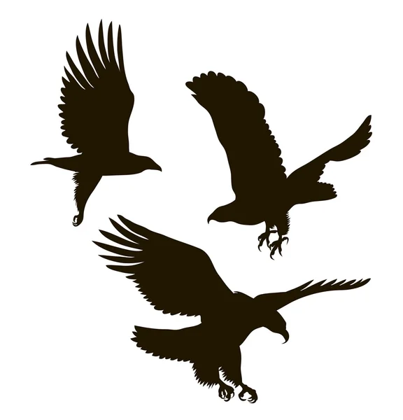 Siluetas de dibujo de tres águilas — Vector de stock