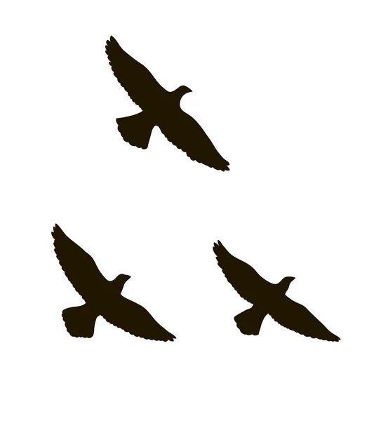 Siluetas de tres aves voladoras — Vector de stock