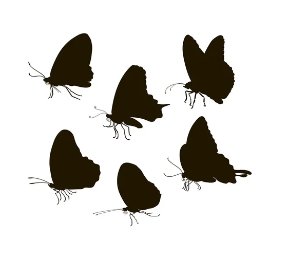 Vector silhouette six butterflies — Stock Vector