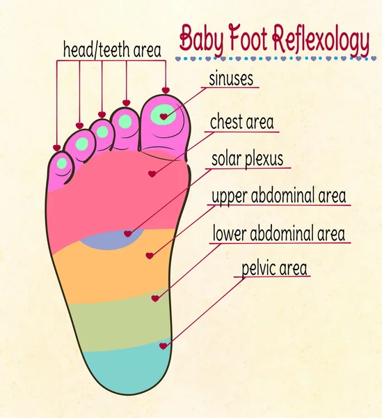 Mengilustrasikan zona refleks kaki bayi - Stok Vektor