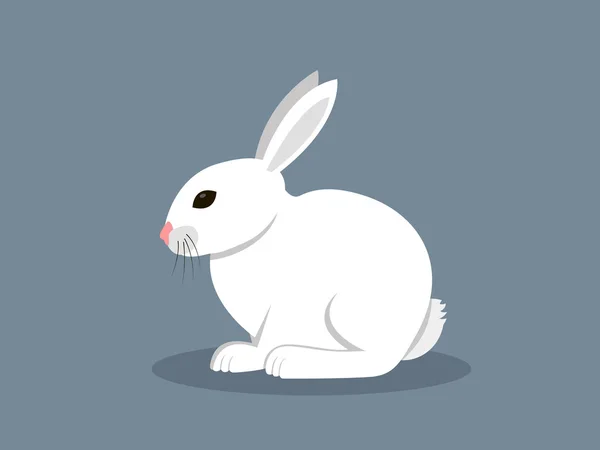 Lapin blanc — Image vectorielle