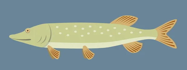Düz stil Pike balık — Stok Vektör