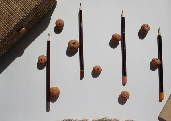 Brushes Pencils Autumn Background — Stock Fotó