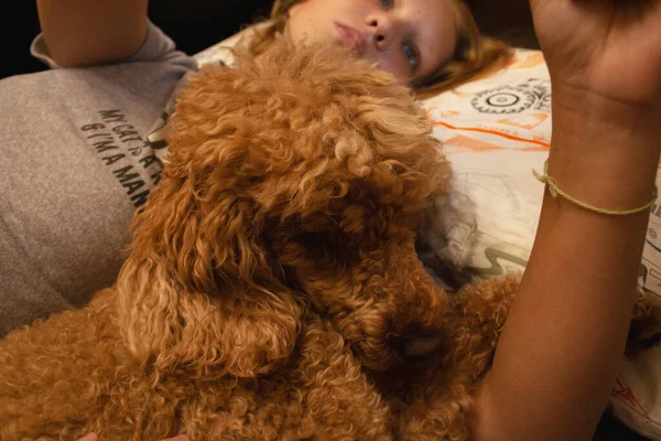 Kleines Mädchen Ist Mit Hund Befreundet — Stockfoto
