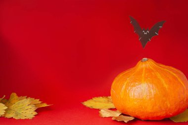 Cadılar Bayramı için yarasalarla kırmızı arka planda bir balkabağı