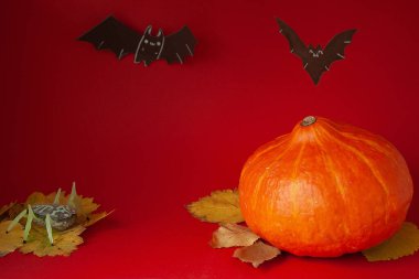 Cadılar Bayramı için yarasalarla kırmızı arka planda bir balkabağı