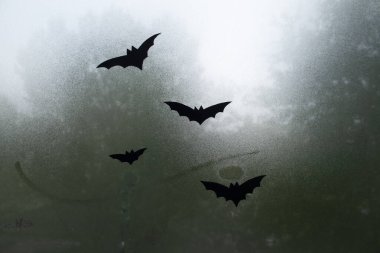 Yarasalar pencereden uçar