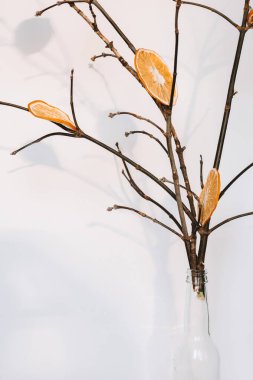 Cam bir şişede portakal dilimleri olan ağaç dalları.