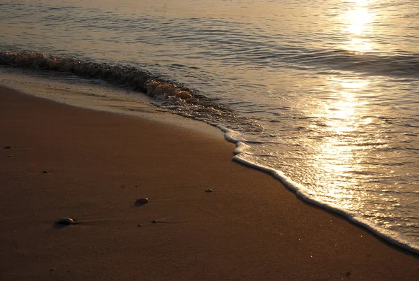 Życie na plaży — Zdjęcie stockowe