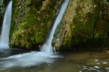 portakal turunçgiller sağlıklı meyveler