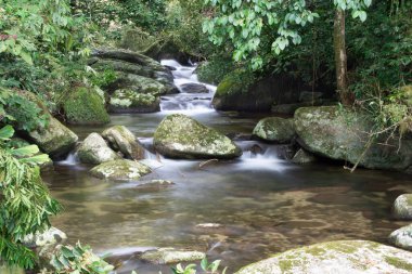 Brezilya 'da bir yağmur ormanından akan şelale ve nehir.