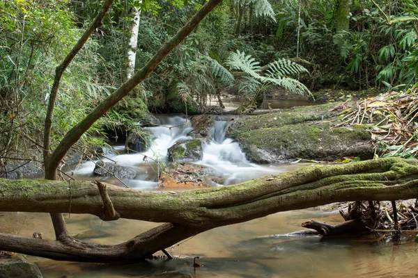 Waterfall River Flowing Rainforest Brazil — Stock Photo, Image