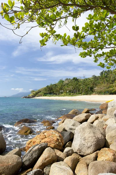 Pedras Árvores Uma Praia Brasil — Fotografia de Stock