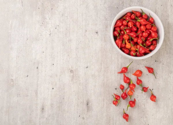 Becco Pepe Rosso Una Ciotola Con Spazio Copiare — Foto Stock