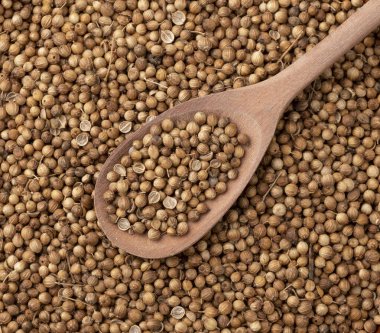 Üst manzara, ahşap kaşıkta kişniş tohumlarına yakın çekim. Yemek arkaplanı.