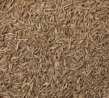 Üst manzara, kimyon tohumlarına yakın çekim. Yemek arkaplanı.