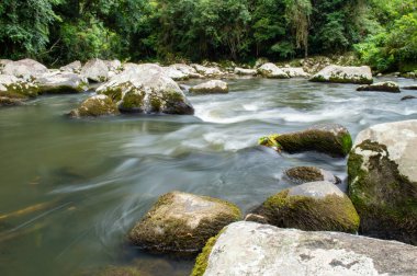Yağmur ormanlarında kayalarla dolu bir nehir..