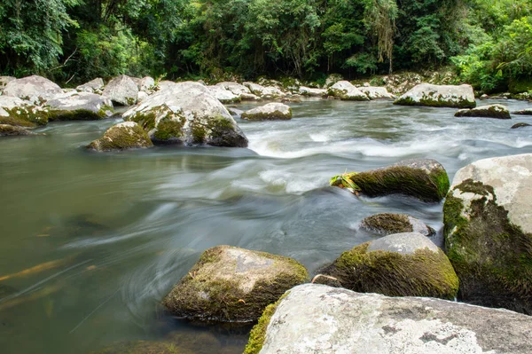 Yağmur ormanlarında kayalarla dolu bir nehir..