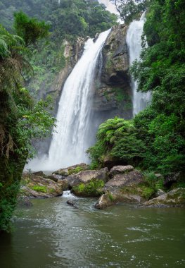 Güney Brezilya 'da bir yağmur ormanında şelale.