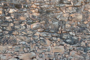 Bitkiler ve yosunlu eski taş duvar.