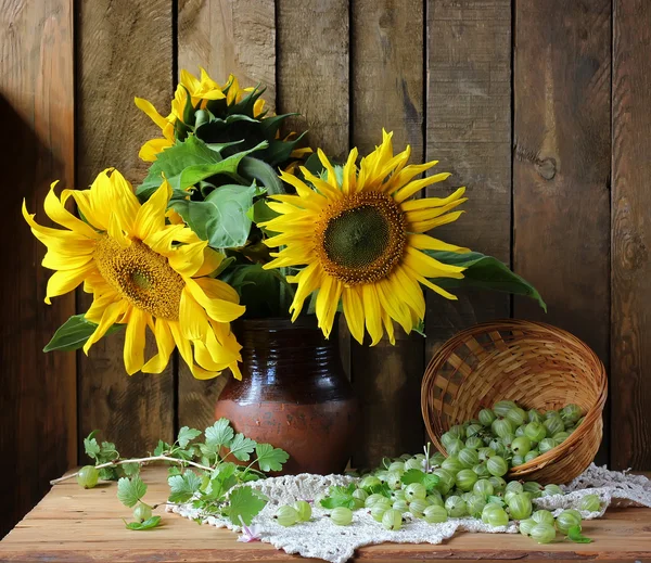 Stillleben mit Sonnenblumen und Stachelbeeren. — Stockfoto