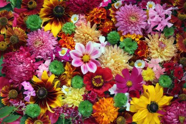 Arka plan Bahçe çiçek, üstten görünüm.