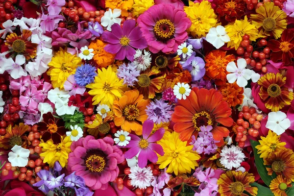 Bakgrund av trädgård blommor och bär, ovanifrån. — Stockfoto