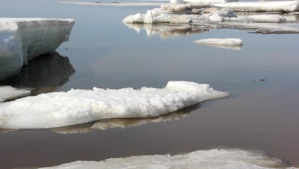 春休み中の川の氷の流れ. — ストック動画
