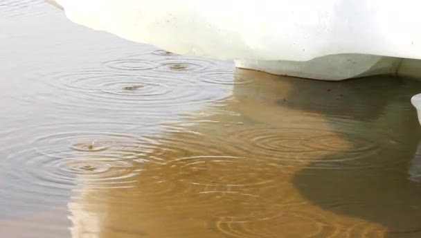 春休み中の川の氷の流れ. — ストック動画