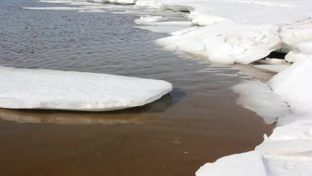 Fiocco di ghiaccio sul fiume durante le vacanze di primavera . — Video Stock