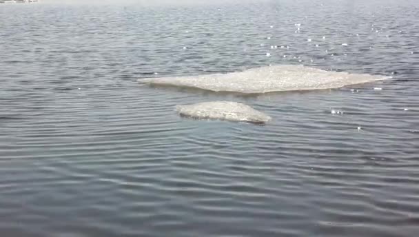 Floe flutuando no rio com reflexos nas ondas durante as férias de primavera . — Vídeo de Stock