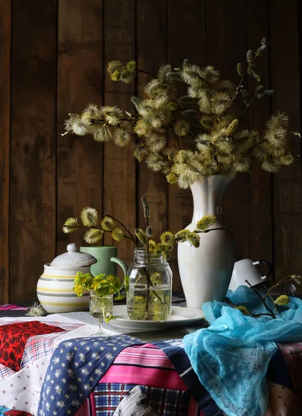 Nature morte printanière avec saules en fleurs . — Photo