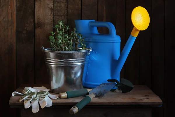 Stillleben mit Gartengeräten und Sämlingen von Blumen. — Stockfoto