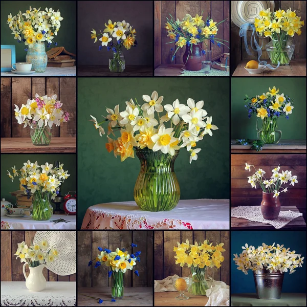 Collage from still life with daffodils. — Stock Photo, Image