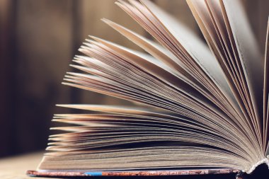 Açık kitap portre. 