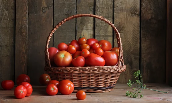 Rijpe tomaten in een mandje op tafel, stilleven in rustieke stijl. — Stockfoto