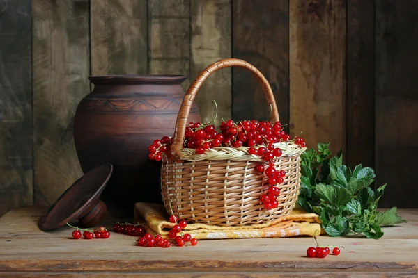 Ribes rosso nel cestino. Natura morta con bacche . — Foto Stock