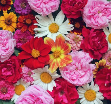 Renkli çiçek arka plan için Tebrikler ve kartpostallar.