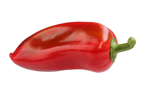 Un pimiento rojo, aislado sobre un fondo blanco . —  Fotos de Stock