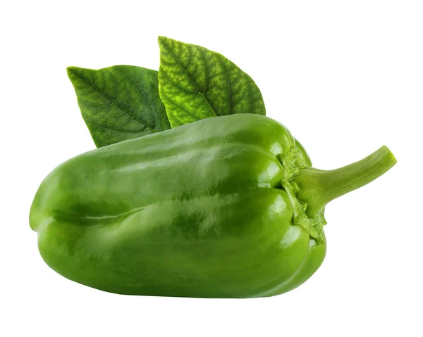 One green pepper isolated on a white background. — Stock Photo, Image