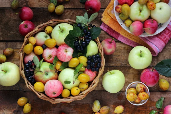 Jablka, švestky a mountain ash na stole, pohled shora. — Stock fotografie