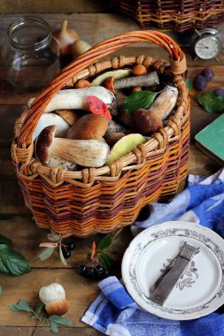 Natürmort mantar, üstten görünüm.