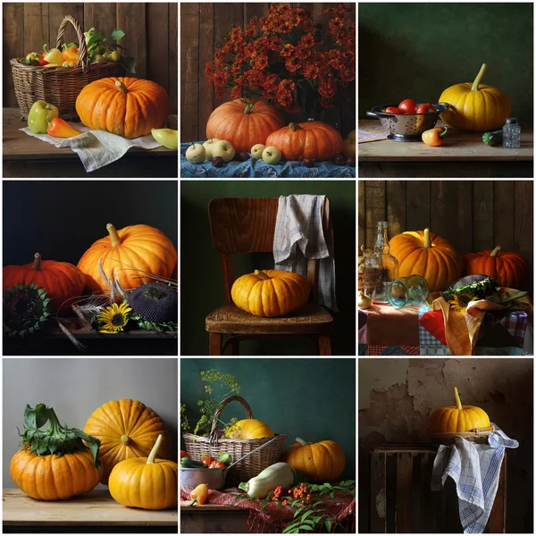 Collage da nature morte con zucche . — Foto Stock