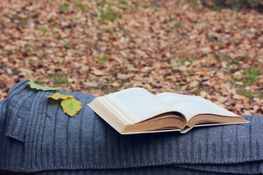 Örgü yün battaniye ve sonbahar yaprakları üzerine açık bir kitap. Ormanda açık havada kitap okuyor..