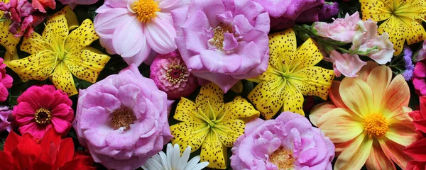 Sfondo Floreale Con Fiori Giardino Vista Dall Alto Gigli Rose — Foto Stock